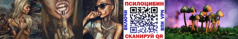 даркнет сайт  Осташков  блэк спрут ONION  дарк нет какой сайт  Галлюциногенные грибы мицелий 