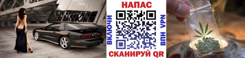 Каннабис план где купить наркотик omg ссылка Осташков